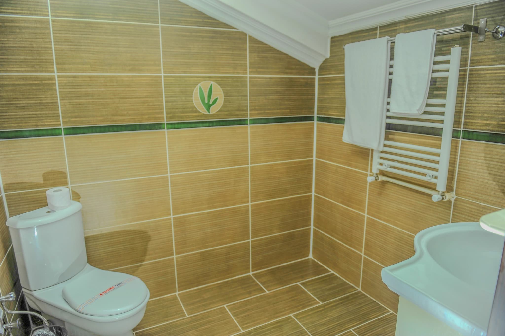 Teona Hotel banyo detayı